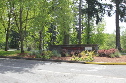 Lower level fireplace